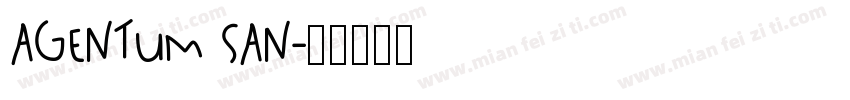 Agentum SAN字体转换